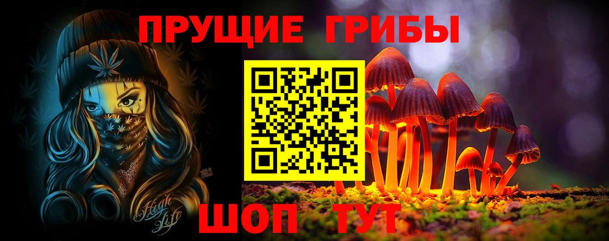 Галлюциногенные грибы Cubensis Новокуйбышевск