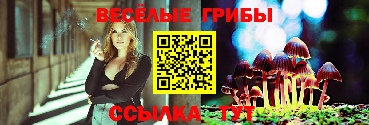 Псилоцибиновые грибы Psilocybine cubensis  Вход с VPN  Новокуйбышевск 
